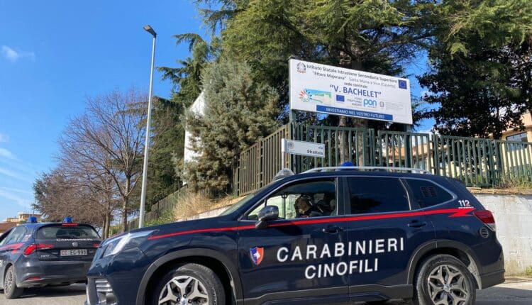 Santa Maria a Vico: il fiuto di "Attila", cane antidroga dei Carabinieri, tra i banchi dell'Istituto "Ettore Majorana"