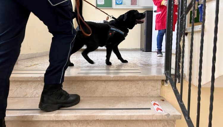 Nuoro: Controlli antidroga nelle scuole cittadine per contrastare e prevenire lo spaccio di sostanze stupefacenti tra i più giovani