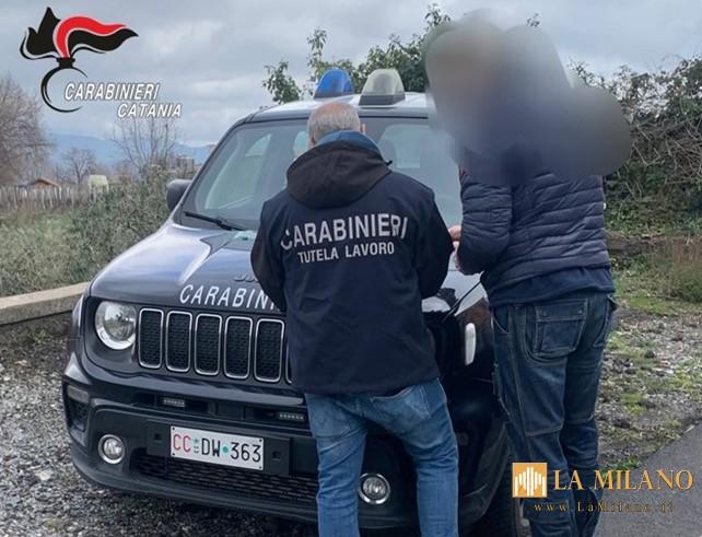 Catania: Tolleranza zero sul lavoro nero, sanzionate due aziende etnee per migliaia di euro