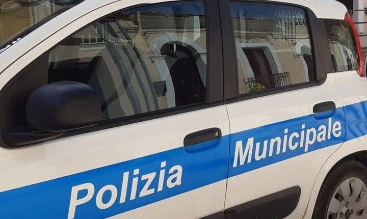 Livorno Minorenne alla guida di una Audi A6 Station Wagon, sanzionati anche i genitori