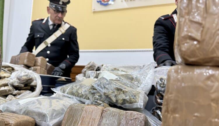 Napoli e Caserta: Carabinieri infliggono un duro colpo alla criminalità organizzata. 750 chili tra hashish e marijuana sequestrati, 4 persone arrestate
