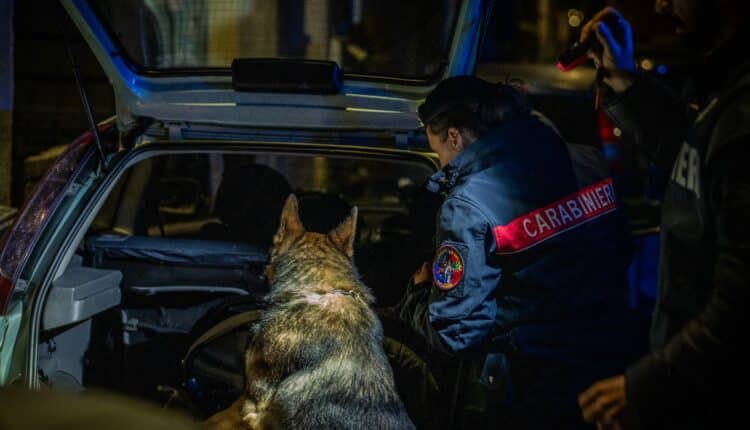 Roma: operazione internazionale antidroga, 27 arresti