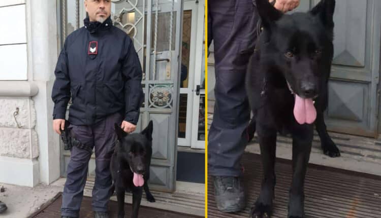 Trieste: controlli antidroga dei Carabinieri nelle scuole