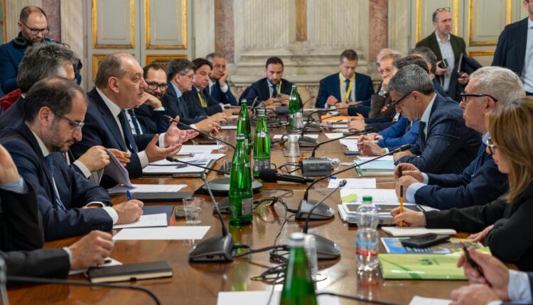 Lotta alla Xylella: al Masaf il primo tavolo con tutti gli attori della filiera, Ministro Lollobrigida: "stop alla gestione emergenziale, servono interventi strutturali”