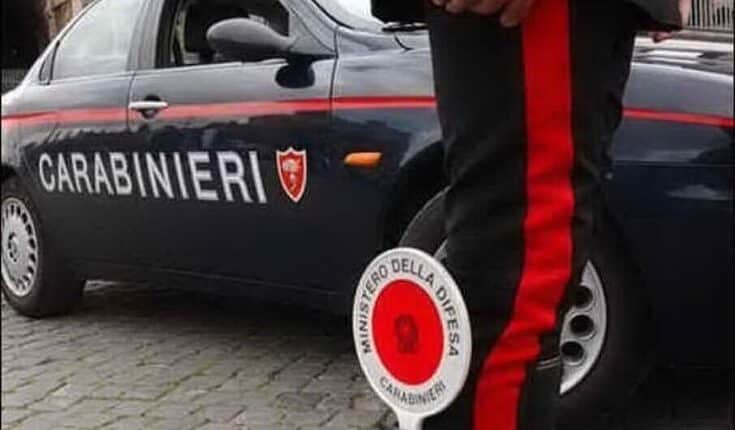 Mantova: Il suo cane azzanna alla coscia una cameriera provocandole 17 giorno  di prognosi, 73enne denunciato per omissione di soccorso