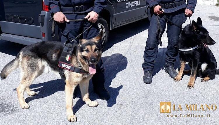 Milazzo: controlli antidroga dei Carabinieri, tre arresti