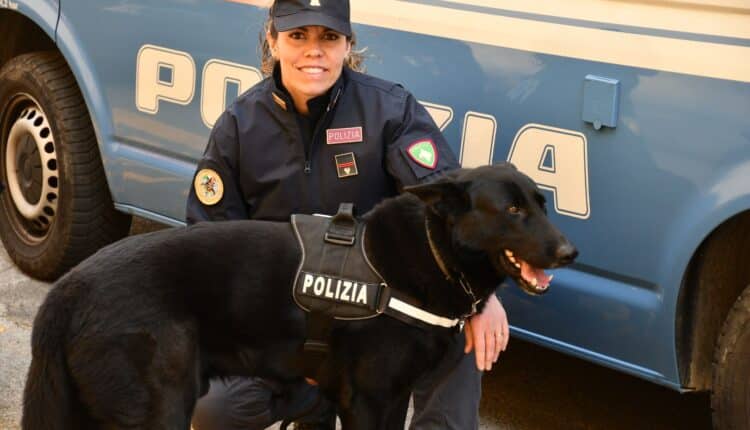 Genova: Polizia di Stato, controllo straordinario del territorio, sequestro di stupefacenti e un sanzionato