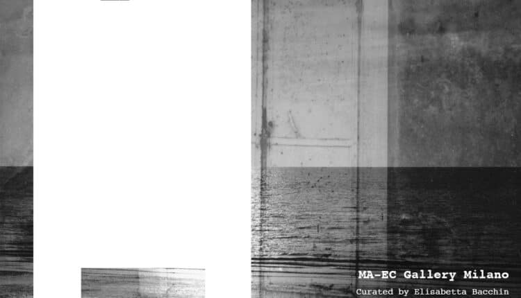 "EGOSISTEMI” mostra personale di Marcello Vigoni alla MA-EC Gallery di Milano.