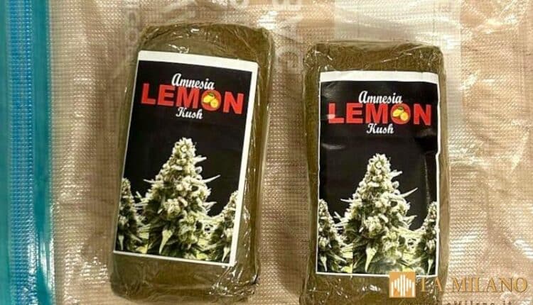 Ravenna: Portava con sé due panetti di hashish. Minorenne arrestato dalla Polizia di Stato