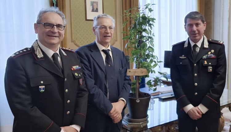 Bologna: I Carabinieri Forestali consegnano un "Albero di Falcone" al Prefetto