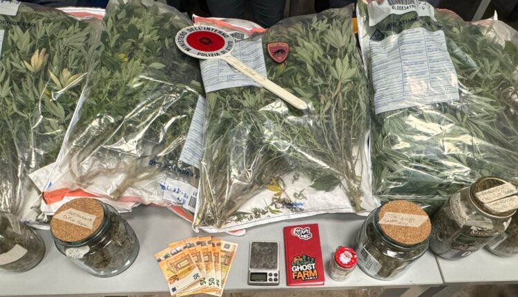 Arrestato a Genova per spaccio: Trovato con marijuana, piante e materiale per la produzione