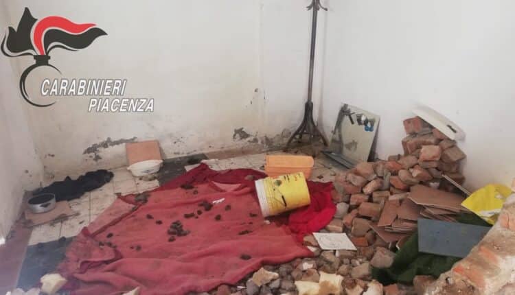 Borgonovo Val Tidone: Rottweiler rinchiuso, senza cibo né acqua, denutrito, salvato dai Carabinieri piacentini