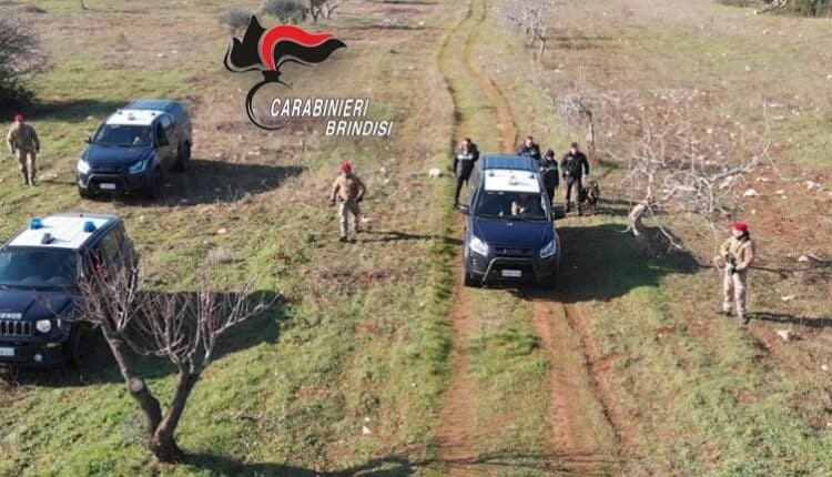 Brindisi: Processo "The Wolf", inflitte condanne per oltre 270 anni di carcere. Affidato ai Carabinieri il cavallo del capo del clan SCU "Lamendola-Cantanna"