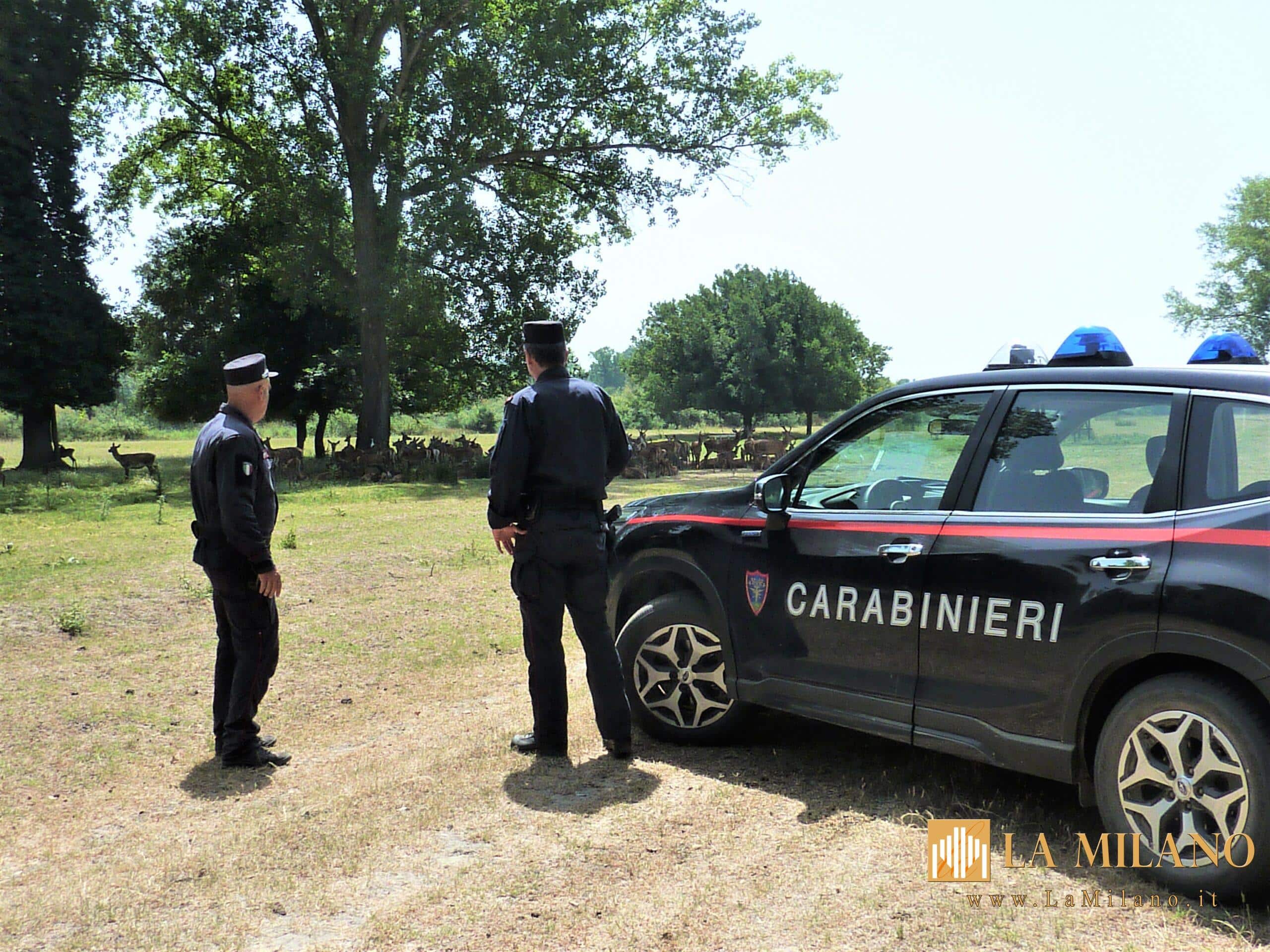 Ravenna e Mesola: 2 Open Day dei Carabinieri Biodiversità per la Giornata del Made in Italy