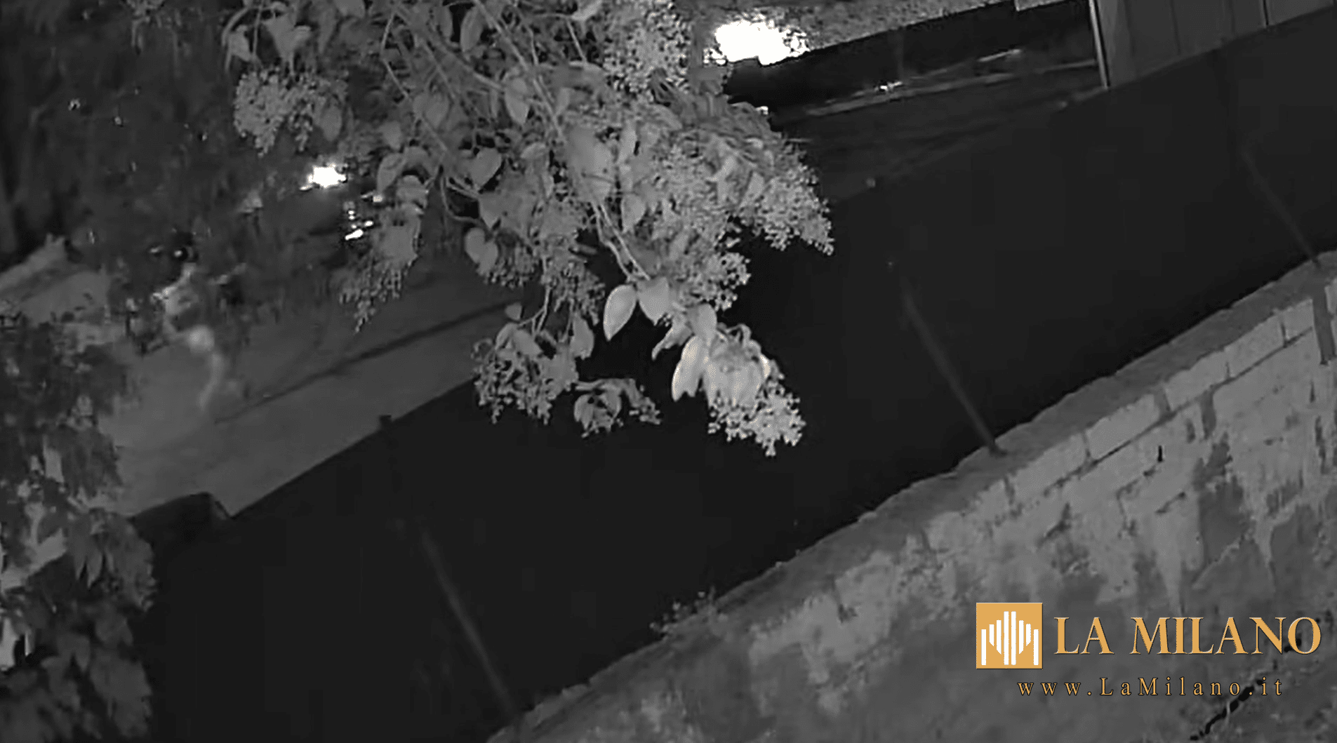 Roma: Sparando, colpisce alla testa e uccide un rapinatore in fuga. Guardia giurata arrestata dai Carabinieri