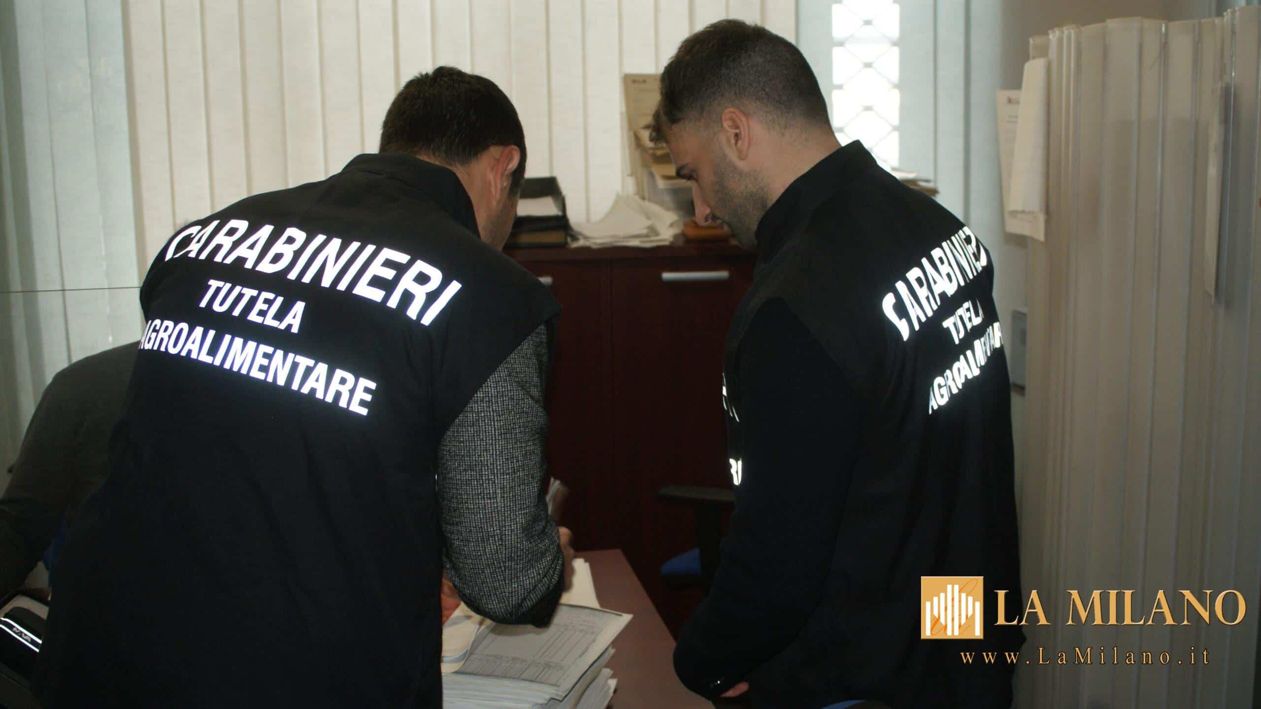 Truffa ai danni dell'UE. La Procura Europea e i Carabinieri sequestrano beni per oltre 160 mila euro in provincia di Messina