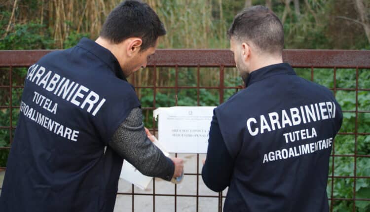 Truffa ai danni dell'UE. La Procura Europea e i Carabinieri sequestrano beni per oltre 160 mila euro in provincia di Messina