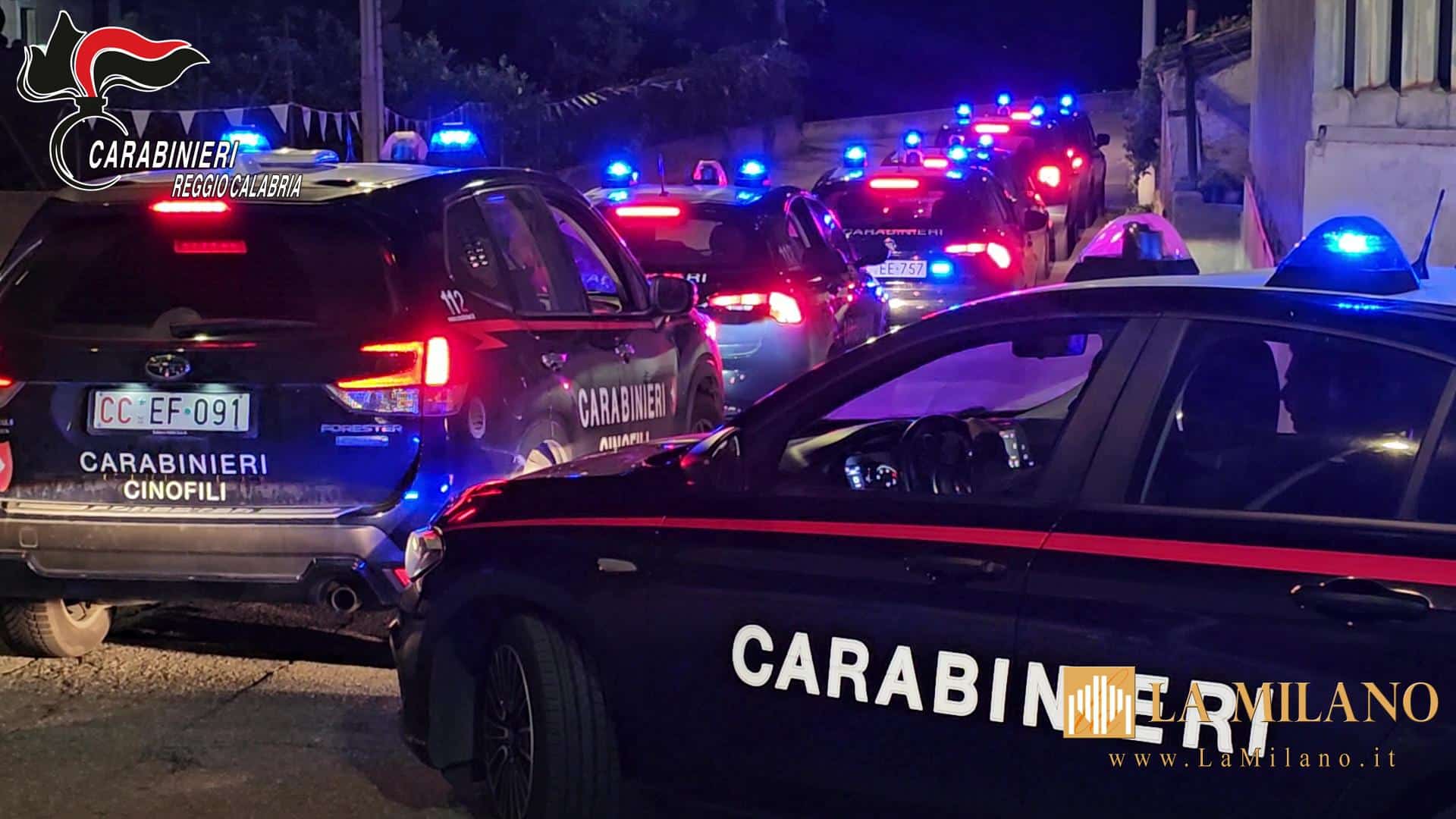 Reggio Calabria, arrestati 9 membri di un organizzazione criminale e sequestrato arsenale da guerra