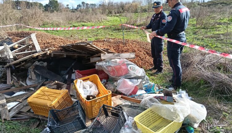 Caianello: sequestrate quattro aree con rifiuti speciali e denunciato il titolare della società proprietaria del fondo agricolo