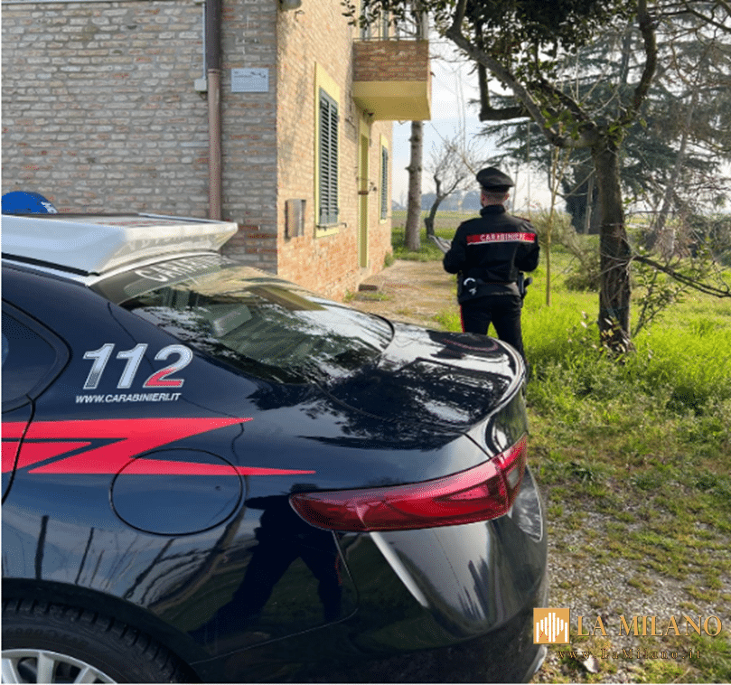 Copparo, Carabinieri trovano 600 grammi d'oro in un pollaio. Denunciata una donna straniera