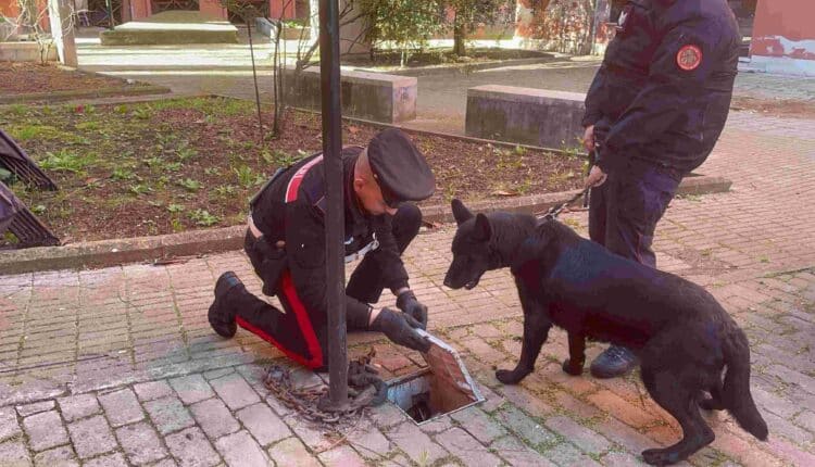 Roma, maxi operazione antimafia 26 arresti per narcotraffico, armi e rapine