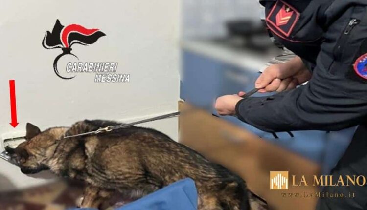 Messina: Controlli straordinari antidroga a Lipari e Salina. I Carabinieri arrestano un pusher e denunciano altre 3 persone