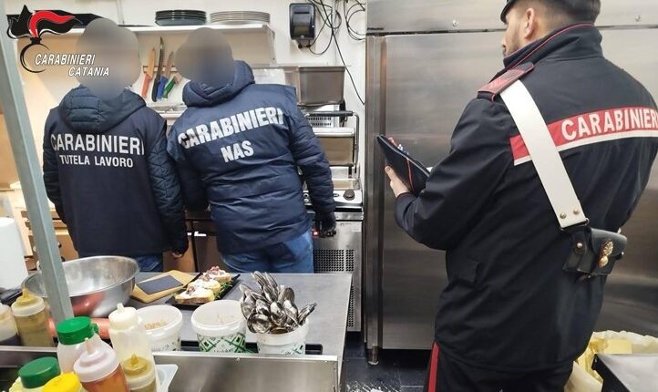 Catania: Controlli a tappeto dei Carabinieri assieme ai Reparti specializzati. 2 denunce e sanzioni