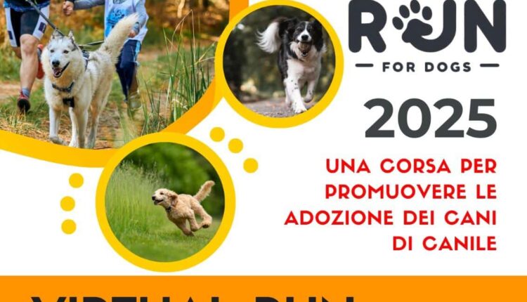 Livorno: al via le iscrizioni per la "Run for Dogs 2025", la corsa solidale per aiutare i cani del canile municipale