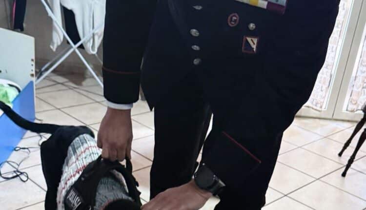 Carabinieri Santa Maria Capua Vetere: Donna denunciata per maltrattamenti su cane