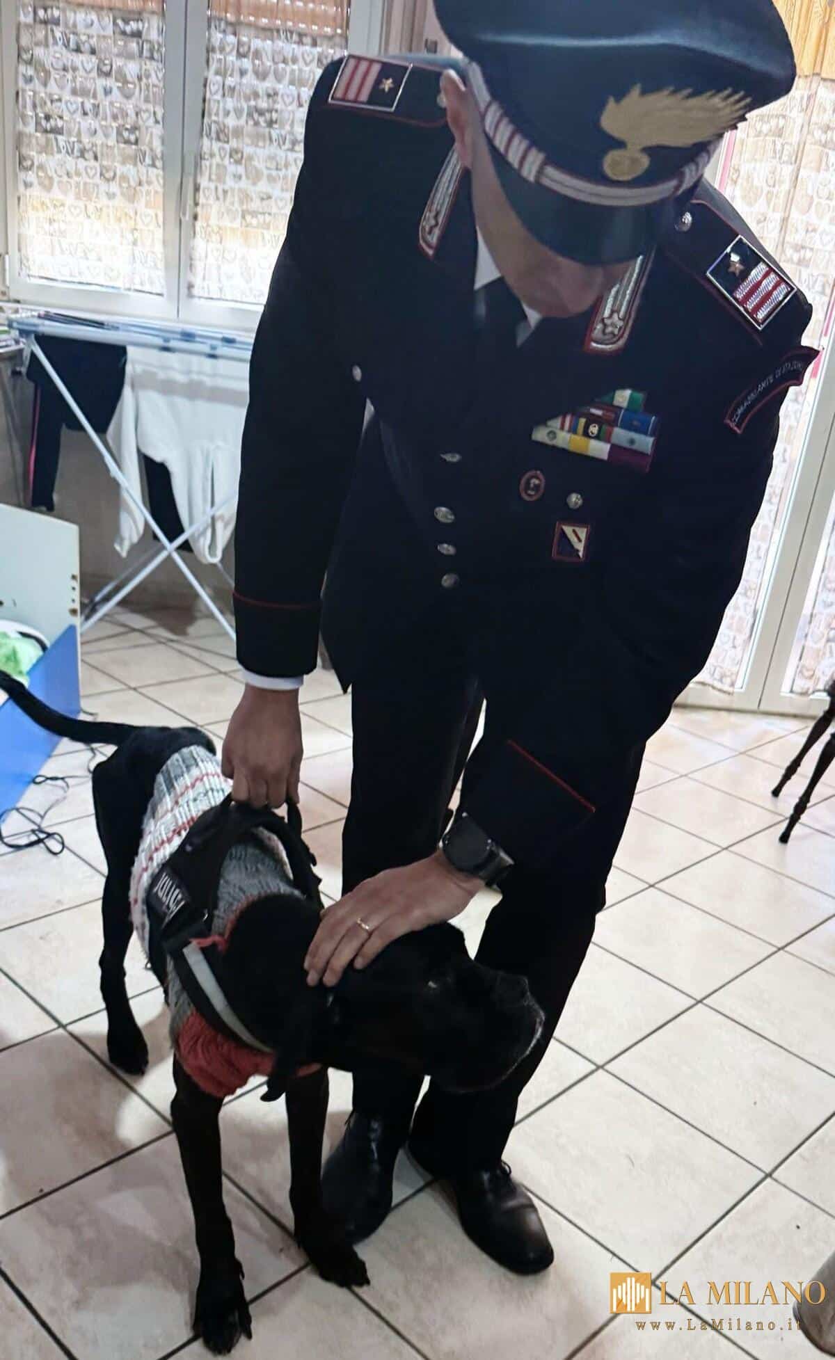 Carabinieri Santa Maria Capua Vetere: Donna denunciata per maltrattamenti su cane