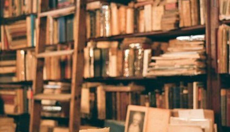 Pausa pranzo in biblioteca: la Biblioteca di Borgo Venezia amplia l'orario di apertura