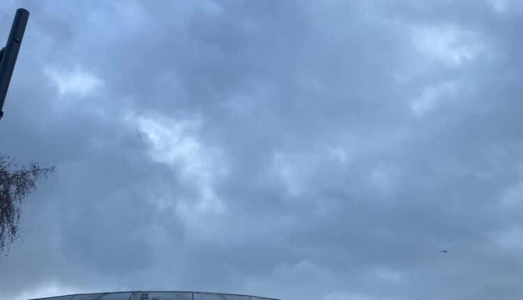 TAF8: spettacolo dentro e fuori dal ring