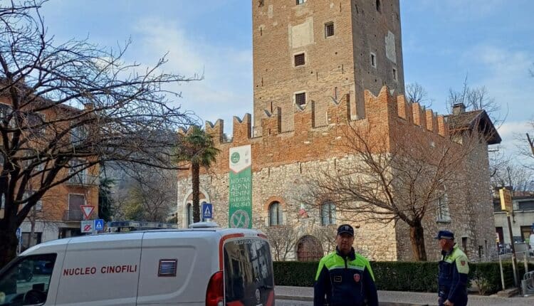 Trento, attività anti-spaccio: nei giorni scorsi Hyper e Boti hanno trovato 700 grammi di hashish, da inizio anno 39 sequestri per quasi 1,5 kg di stupefacenti