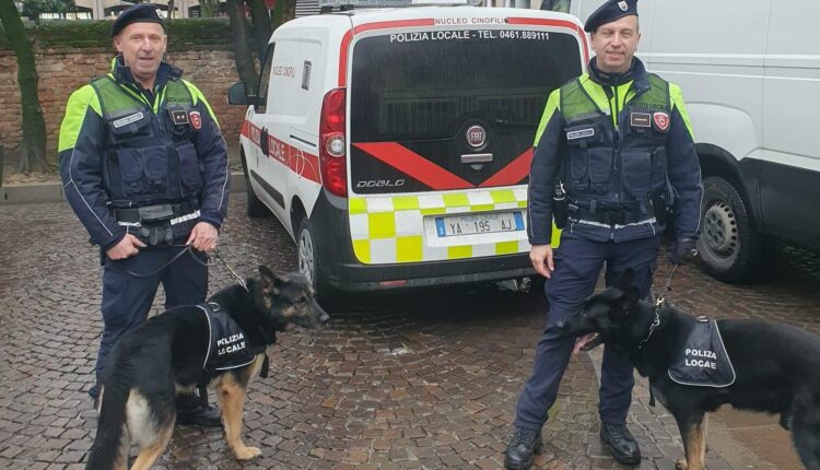 Trento, attività anti-spaccio: nei giorni scorsi Hyper e Boti hanno trovato 700 grammi di hashish, da inizio anno 39 sequestri per quasi 1,5 kg di stupefacenti