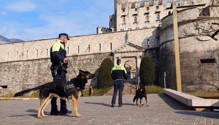 Trento, attività anti-spaccio: nei giorni scorsi Hyper e Boti hanno trovato 700 grammi di hashish, da inizio anno 39 sequestri per quasi 1,5 kg di stupefacenti