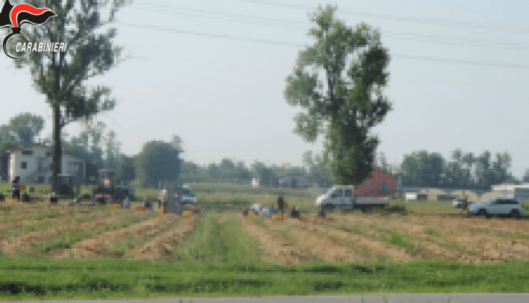Piacenza: Sfruttano i propri connazionali, facendoli lavorare per pochi euro nei campi della "bassa" piacentina. Arrestati 2 stranieri