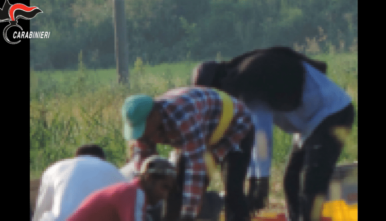 Piacenza: Sfruttano i propri connazionali, facendoli lavorare per pochi euro nei campi della "bassa" piacentina. Arrestati 2 stranieri