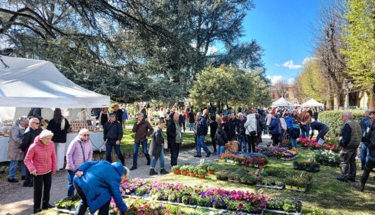 Borgo San Lorenzo: "Fiorinfiera" torna a colorare il comune con la sua XII^ edizione
