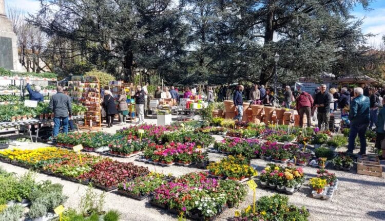 Borgo San Lorenzo: "Fiorinfiera" torna a colorare il comune con la sua XII^ edizione