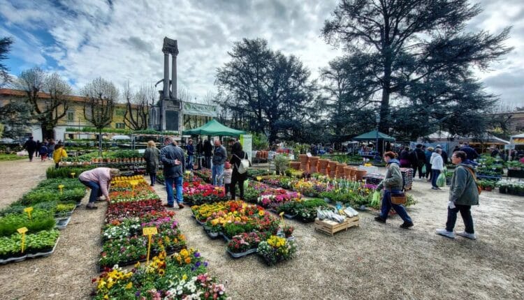 Borgo San Lorenzo: "Fiorinfiera" torna a colorare il comune con la sua XII^ edizione