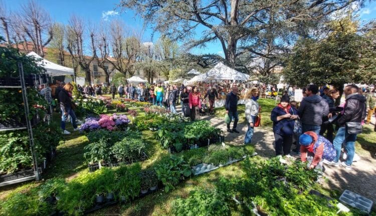 Borgo San Lorenzo: "Fiorinfiera" torna a colorare il comune con la sua XII^ edizione