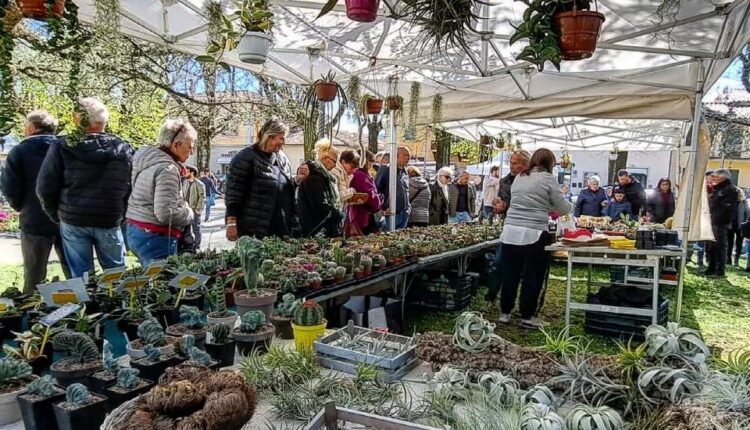Borgo San Lorenzo: "Fiorinfiera" torna a colorare il comune con la sua XII^ edizione