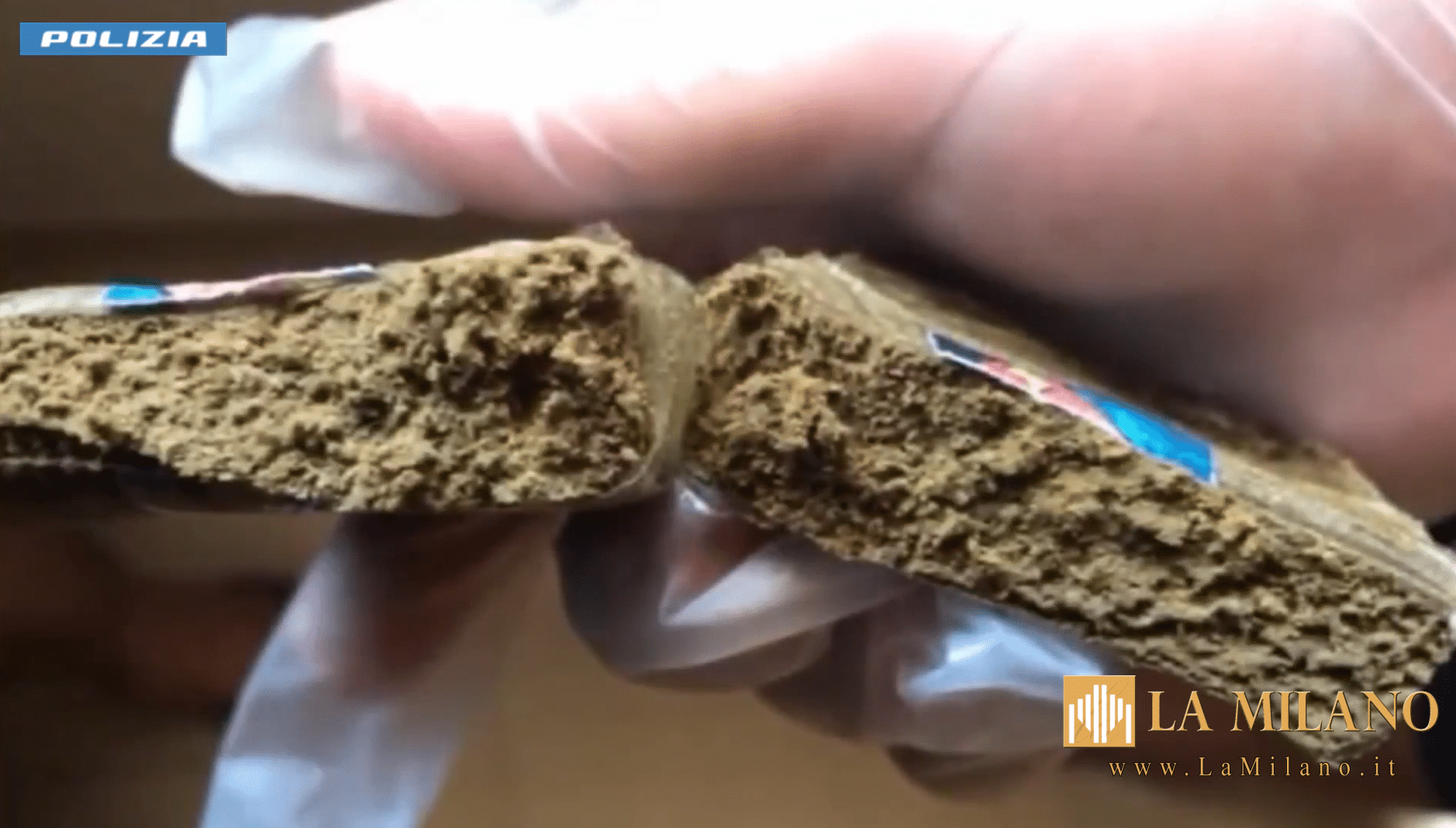 Bologna: Comunicazioni criptate per organizzare un traffico internazionale di droga tra Italia e Olanda. 5 persone arrestate dalla Polizia