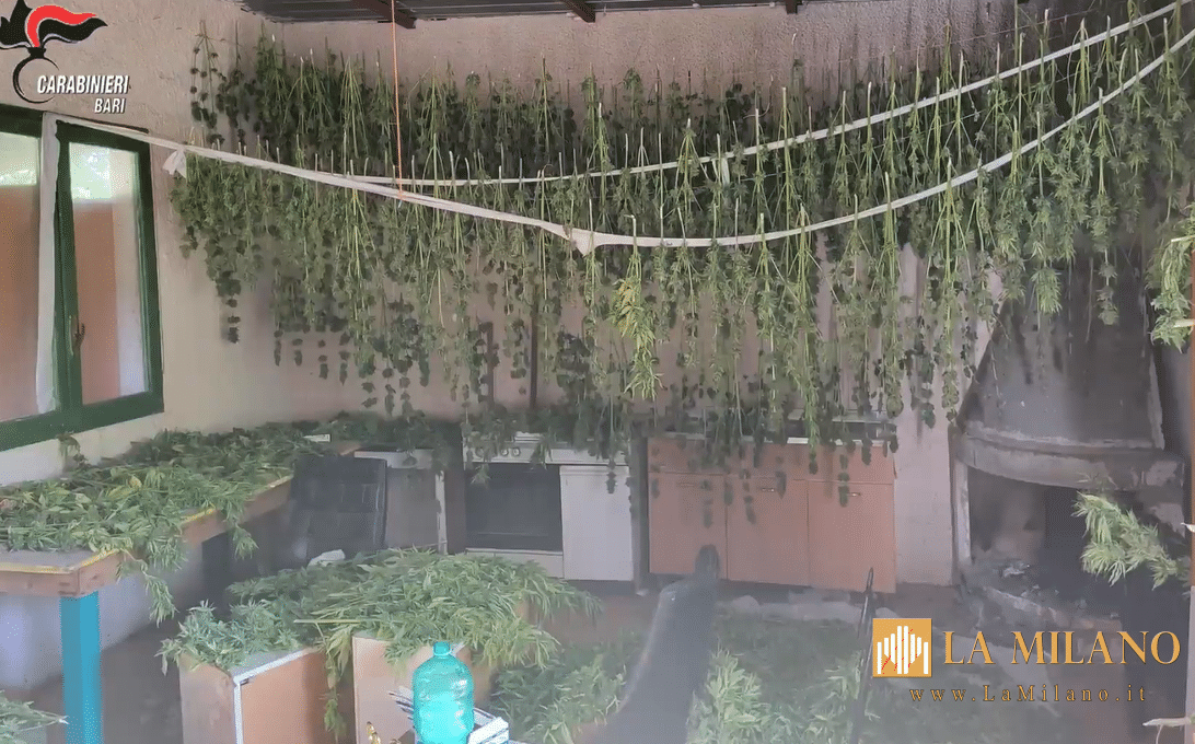 Altamura: smantellata una rete di spaccio. 9 arresti e 124 episodi contestati