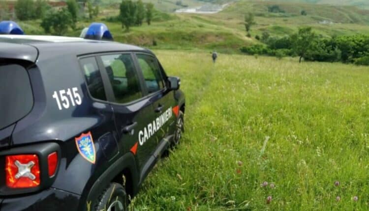 Servizi di controllo del territorio, sequestri e denunce a Benevento