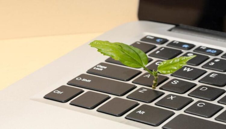 Green e digitale: contributi fino a 800 euro al mese per le nuove imprese