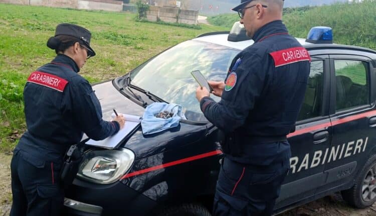Controlli ambientali ad Ancona: 4 denunce per abbandono illecito di rifiuti