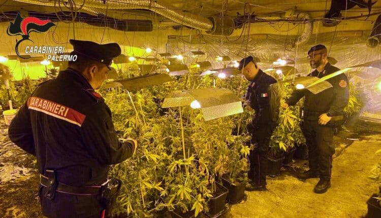 Maxi operazione tra Partinico, Borghetto e Montelepre: arresti, denunce e sequestri