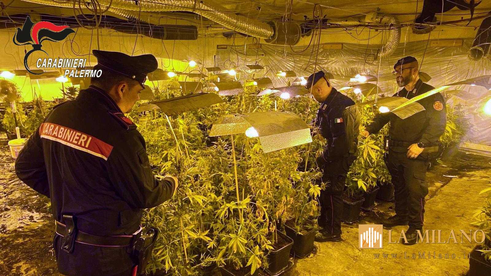 Maxi operazione tra Partinico, Borghetto e Montelepre: arresti, denunce e sequestri