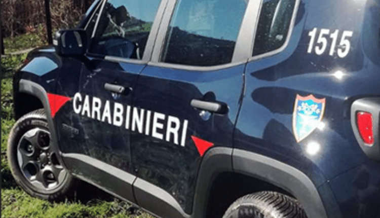 Carabinieri Forestali: Denunciato un 50enne per combustione illecita di rifiuti a Collesalvetti